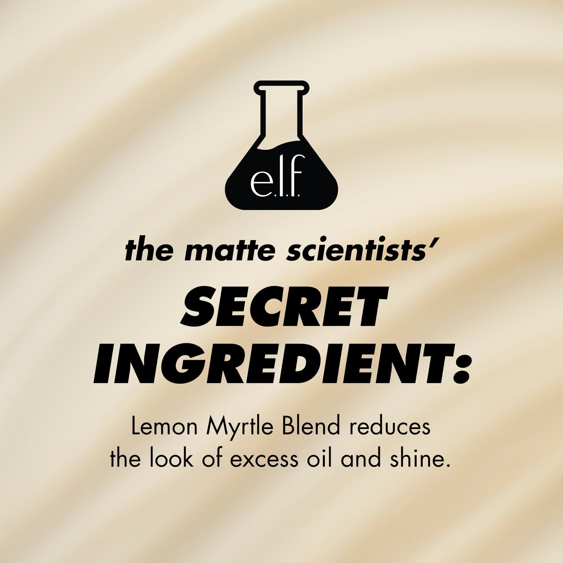 power-grip-matte-primer-y3 1224_EDUCATION_PGMATTE_INGREDIENT_b9de063f-aeb5-403f-9709-c3cafbf9c9d1.jpg